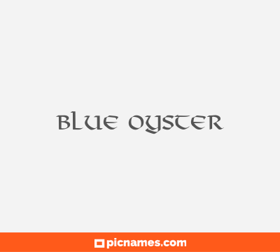 Blue Oyster